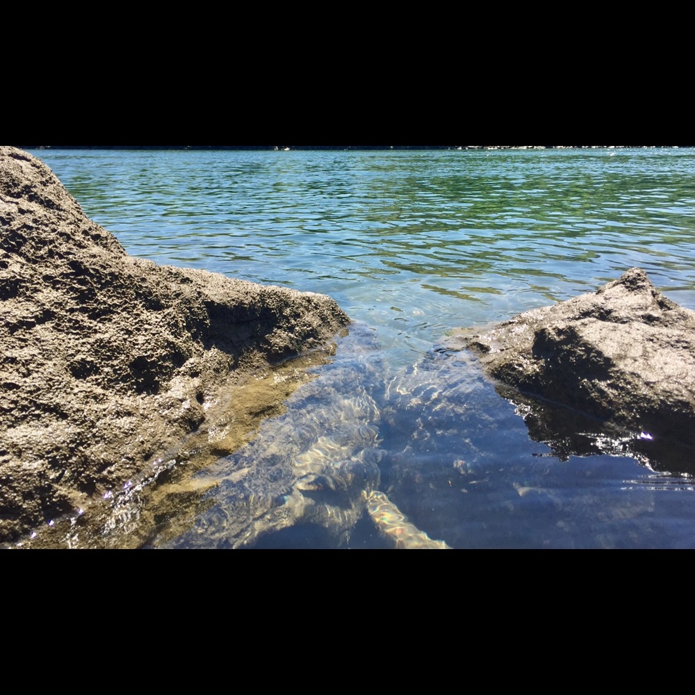 Meet your Posher, Brooklyn